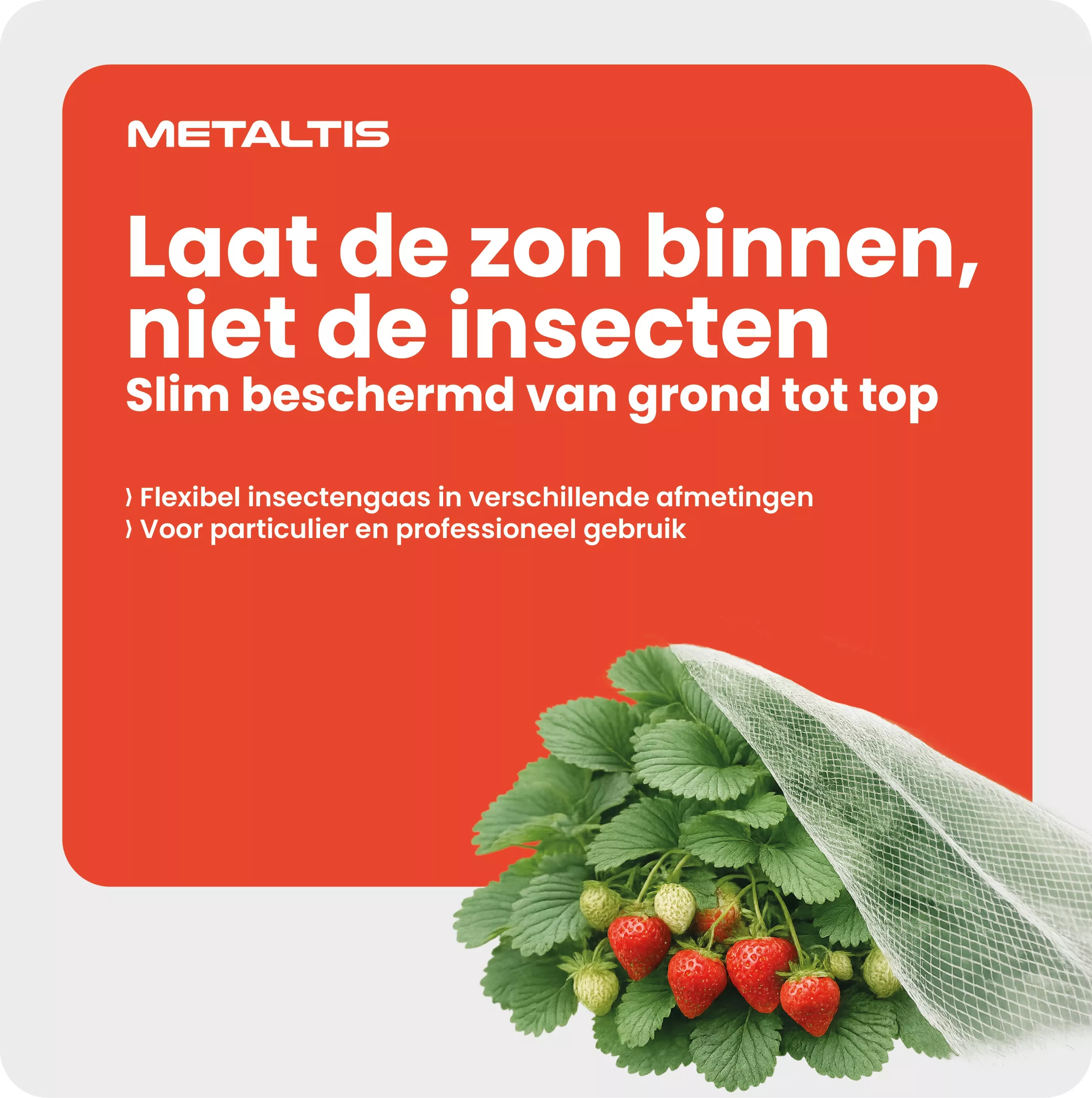 Anti-insect