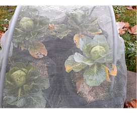 Tout - Filets (Jardin, Agro) Filet anti-insectes - Rouleau - 3mx100m - 110g/m2 - Transparant